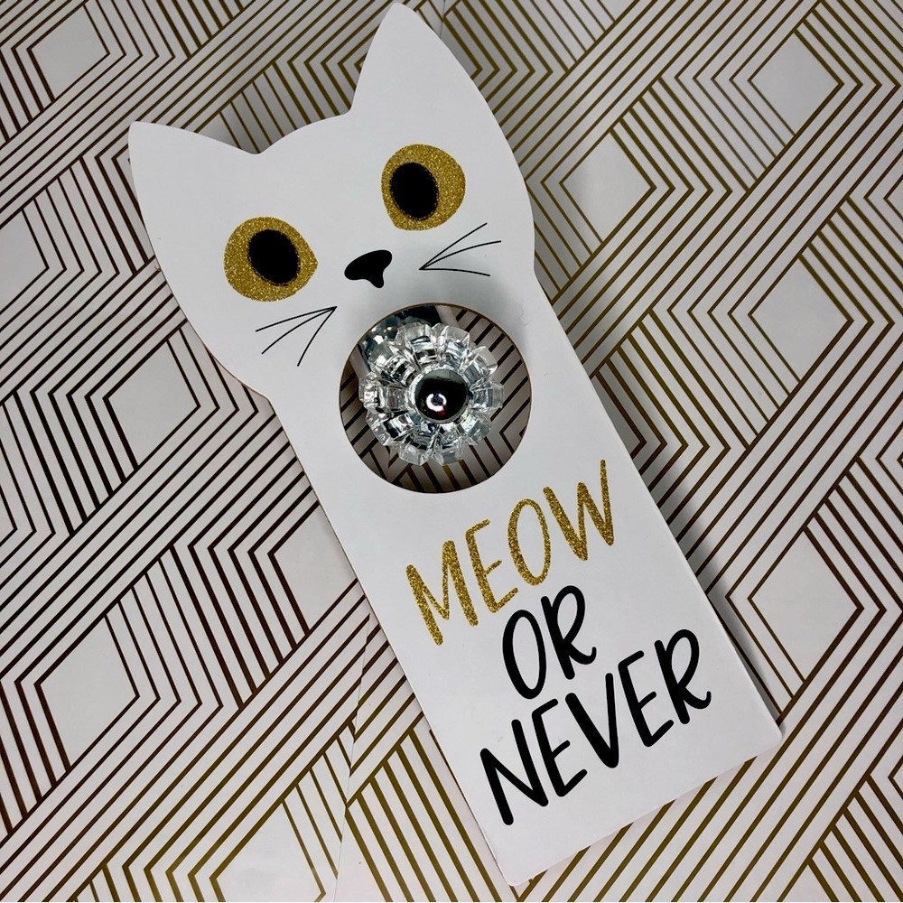 MEOW or NEVER Kitty Cat Lover Adorable Wooden Door‎ Hanger NEW!
